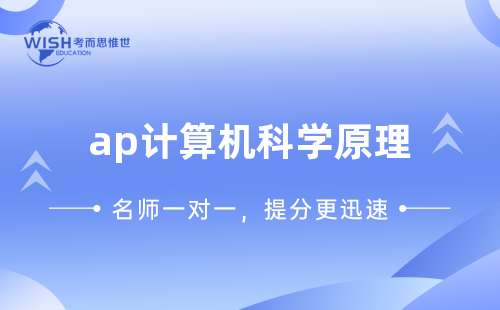 干货！AP计算机科学原理考试范围总结！
