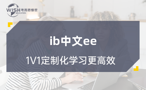 IB中文EE辅导机构哪家比较好？