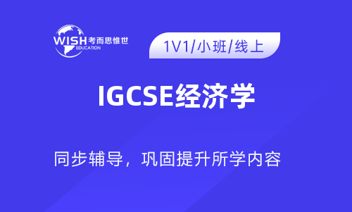 2023年IGCSE经济学考前冲刺班！