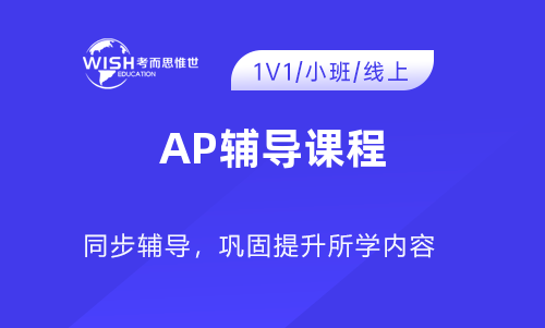 AP辅导课程哪里好啊？