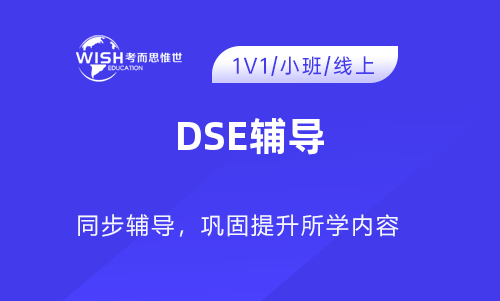 DSE辅导课程哪里有啊？