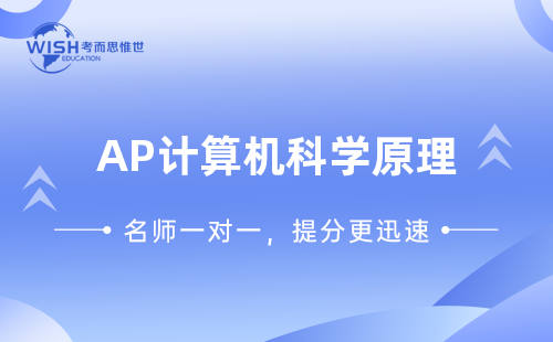 2024年AP计算机科学原理培训课程哪家机构好？