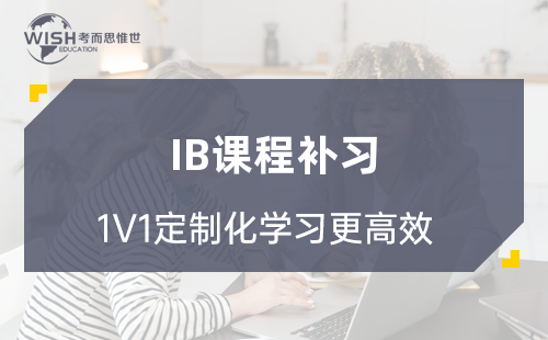 IB课程补习一对一哪个机构好？