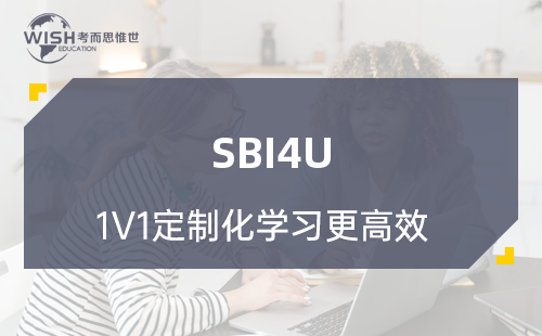 SBI4U一对一辅导价格是多少？