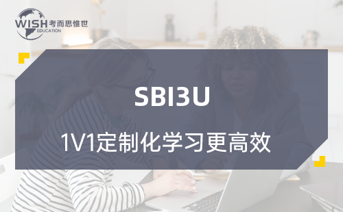 SBI3U课程辅导机构费用是多少？