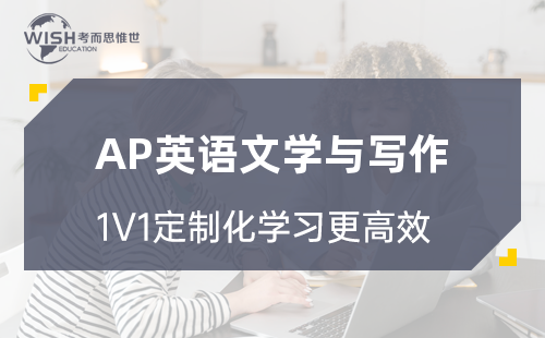 AP英语文学与写作一对一课程价格是多少？