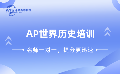 AP世界历史培训一对一课程哪个好？