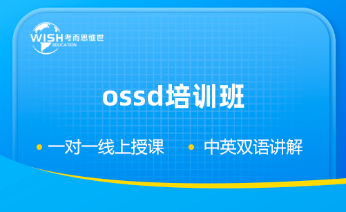 ossd培训班一对一课程哪个机构好？