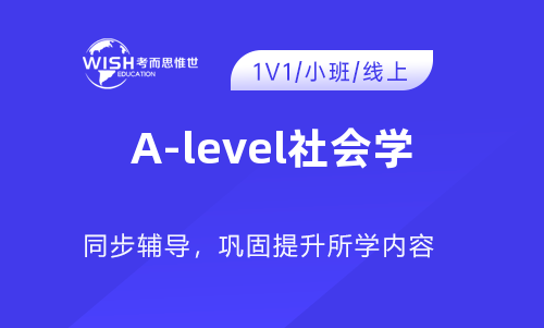 2025年A-level社会学考前一对一冲刺哪家好？