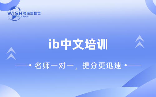 IB中文培训辅导机构哪家好？惟世教育助你冲刺高分