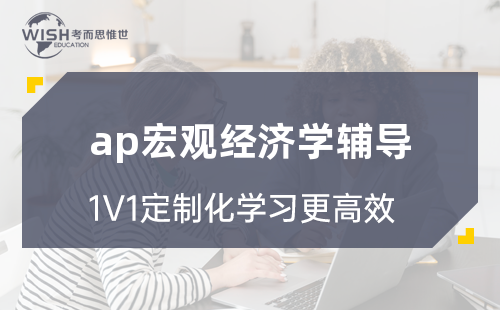 AP宏观经济学辅导机构怎么选？惟世教育带你冲刺5分