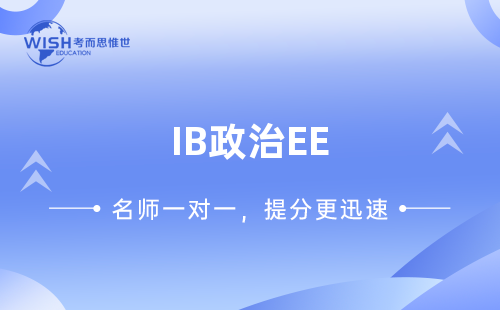 IB政治EE辅导机构推荐：惟世教育专业助力高分突破