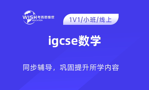IGCSE附加数学辅导怎么选？惟世国际教育助力A*之路