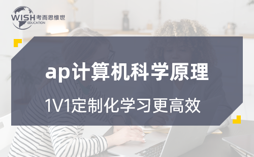 AP计算机科学原理培训怎么选？深度解析惟世国际教育的专业优势
