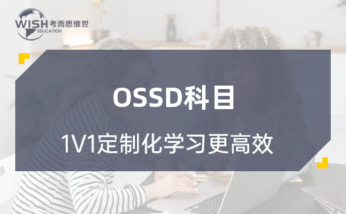 HSE4M公平与社会正义培训机构怎么选？专业解析惟世国际教育