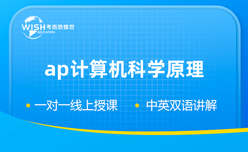 AP计算机科学原理辅导怎么选？专业解析惟世国际教育核心优势