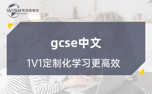 GCSE中文第二语言培训机构怎么选？深度解析惟世国际教育的专业优势