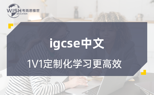 IGCSE中文培训怎么选?惟世国际教育助力A*之路 IGCSE中文培训怎么选?惟世国际教育助力A*之路