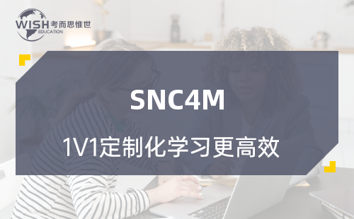 SNC4M科学培训机构怎么选？深度解析惟世国际教育的专业优势