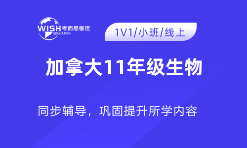 加拿大11年级SBI3C辅导机构怎么选?深度解析惟世国际教育的专业优势 加拿大11年级SBI3C辅导机构怎么选?深度解析惟世国际教育的专业优势