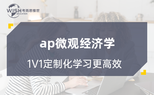 AP微观经济学辅导机构哪家好？惟世国际教育用实力给出答案