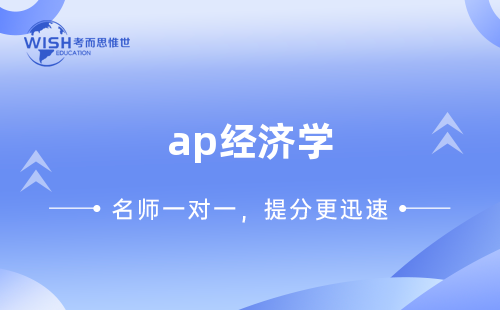 AP经济学辅导机构哪家好？惟世国际教育用实力给出答案