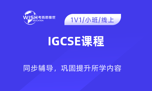 IGCSE体育理论辅导机构哪家好？惟世国际教育助你冲刺A*