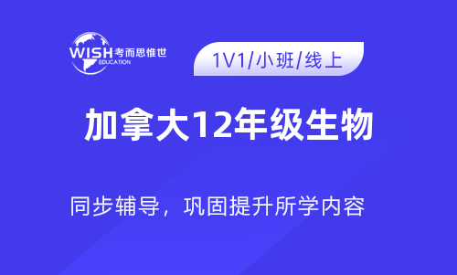 加拿大12年级SBI4U辅导机构哪家好?惟世国际教育用实力给出答案 加拿大12年级SBI4U辅导机构哪家好?惟世国际教育用实力给出答案