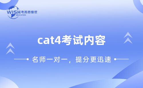 CAT4不同年龄组难度差别大吗?九级难度体系深度解析 CAT4不同年龄组难度差别大吗?九级难度体系深度解析