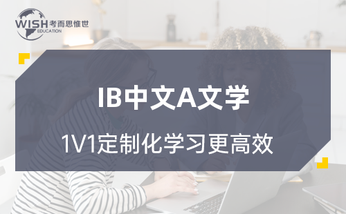 IB中文A文学EE是什么？怎么做？从选题到提交的全流程指南