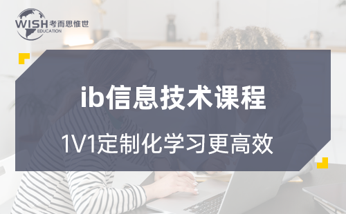 IB信息技术好拿分吗?最新7分率数据与难度深度解析 IB信息技术好拿分吗?最新7分率数据与难度深度解析
