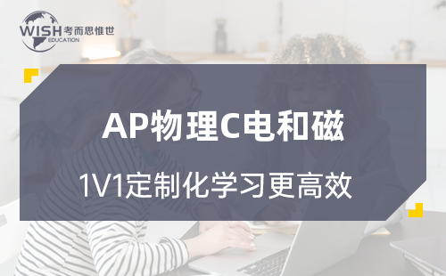 AP物理C电和磁线上辅导一对一每小时多少钱？