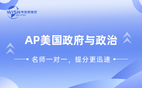 AP美国政府与政治线上辅导一对一每小时多少钱？