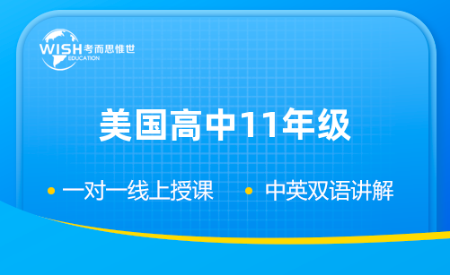 美国高中11年级辅导有哪些？哪家好？