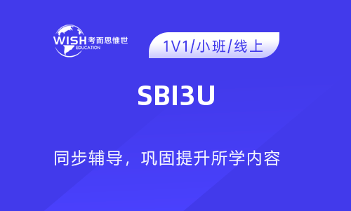 加拿大高中SBI3U辅导哪家好？