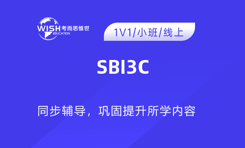 加拿大安省SBI3C课程辅导机构推荐！