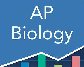 ap生物真的很难吗？