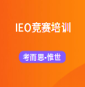 IEO比赛组队规则是怎样的？