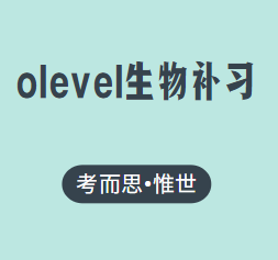有没有可以帮忙补习olevel生物的?