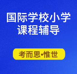 国际学校小学课程辅导有吗?