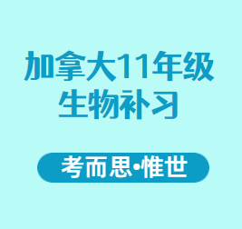加拿大11年级生物补习老师有吗?