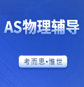 有没有可以辅导AS物理课程的？