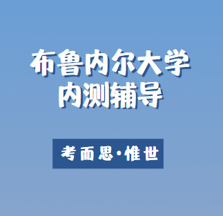 布鲁内尔大学内测辅导哪家好？