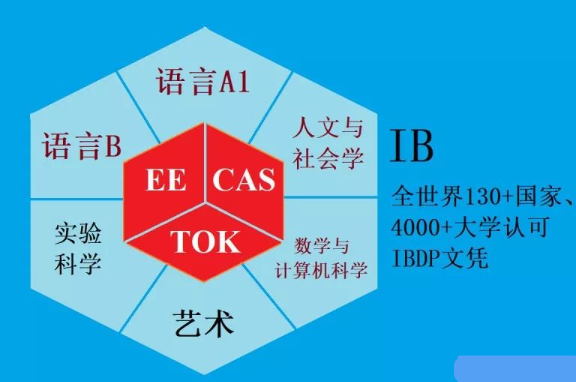 ib课程体系是怎样的？