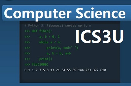 加拿大11年级计算机科学课程解析
