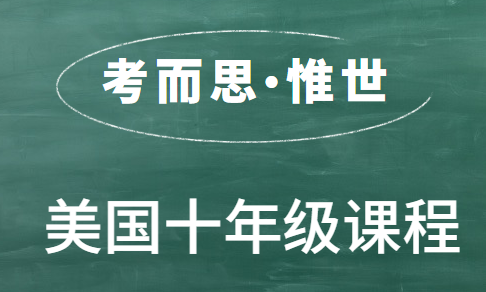 美国高中十年级学什么?