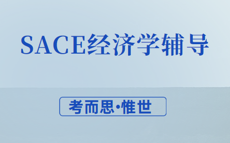 sace经济学辅导