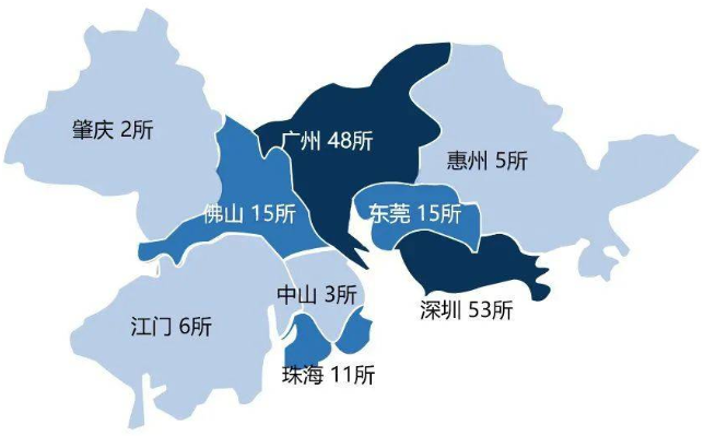 大湾区新动作!两年时间新增国际学校30所!