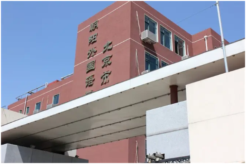 北京DSE课程国际学校有哪些？排名如何？
