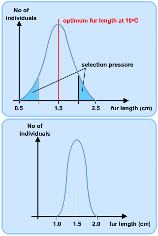 Alevel生物素材1.png